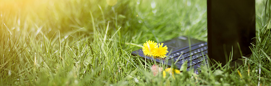 Laptop sits in the grass