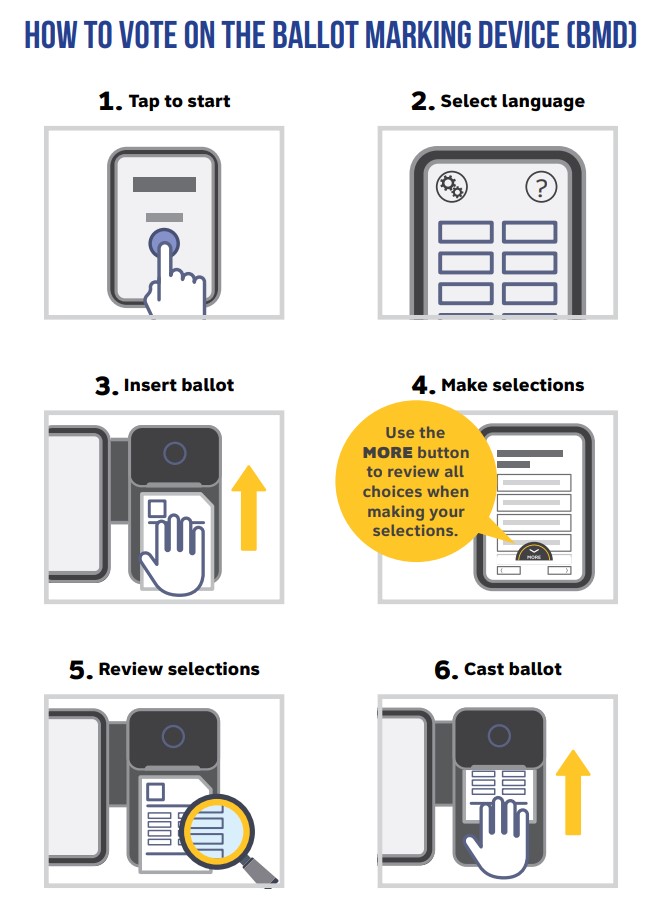 How to vote