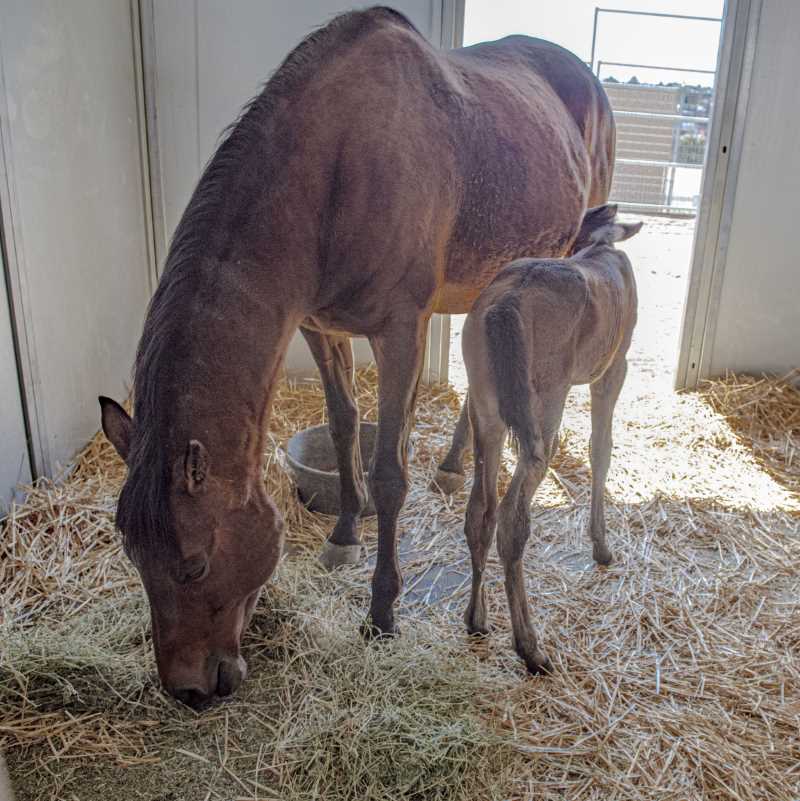 Reba and her baby