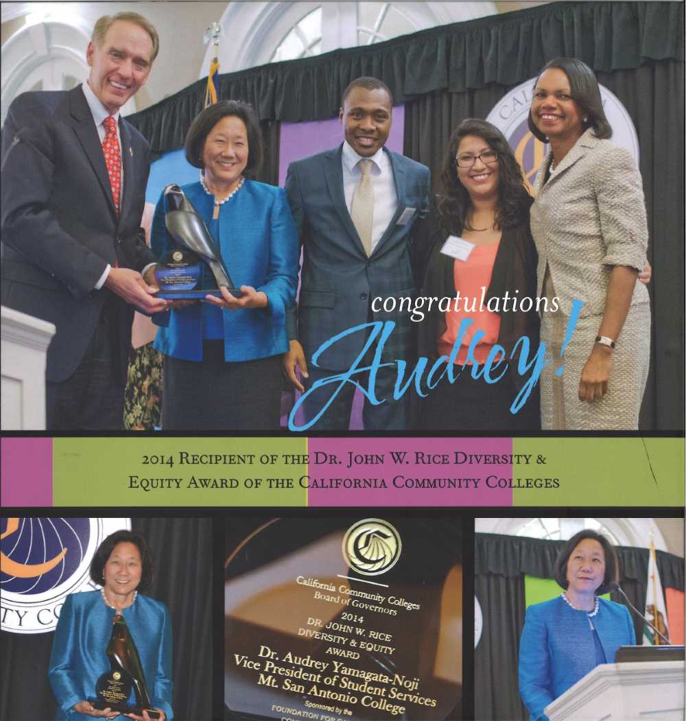 Photo of award - Congratulations Audrey! 2014 recipeint of the Dr. John W. Rice Diversity & Equity Award of the California Community Colleges