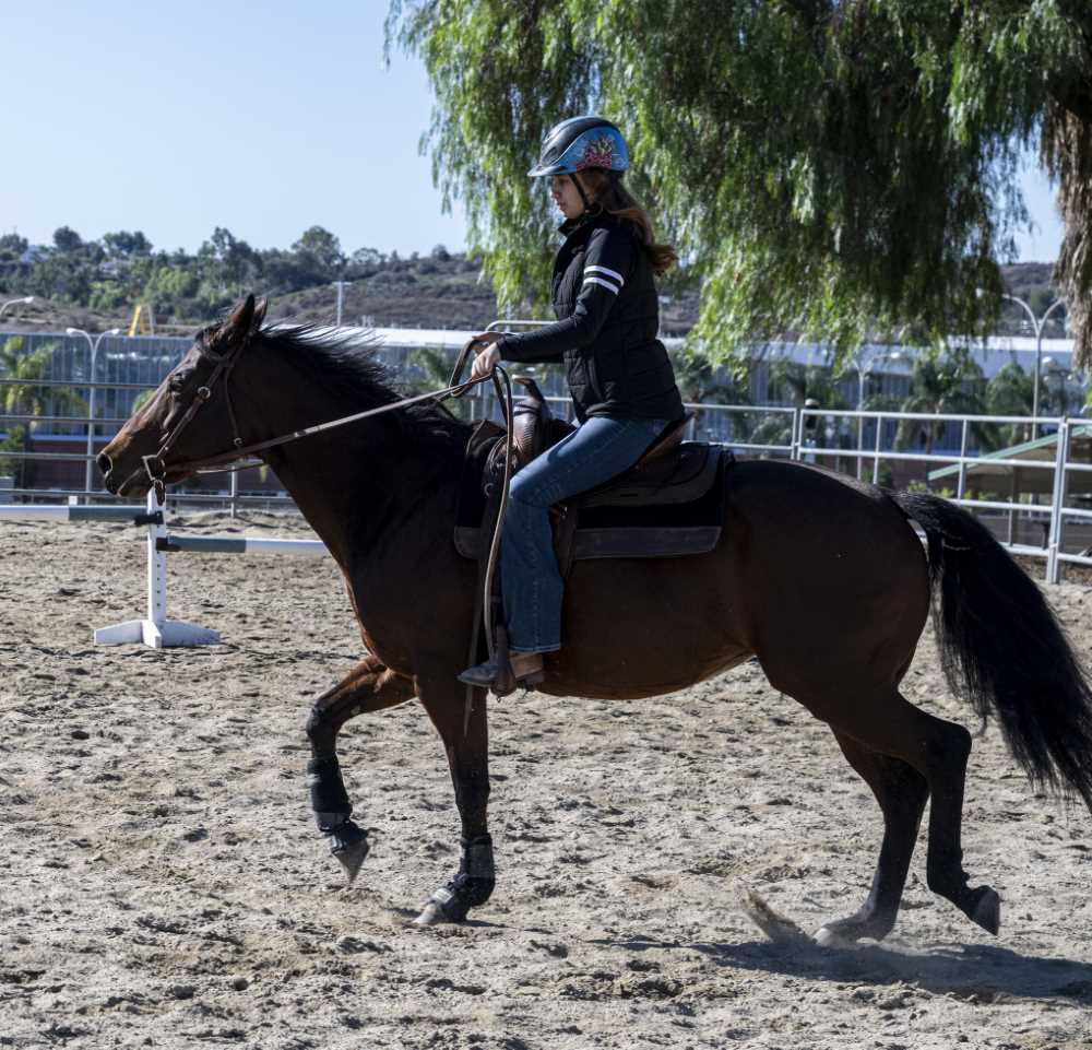 Brooklyn trotting on horse