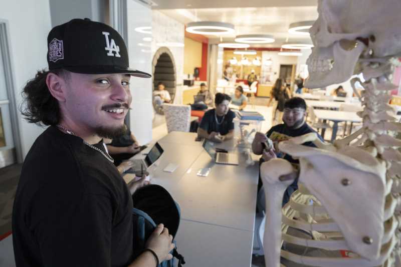 Student studies human skeleton