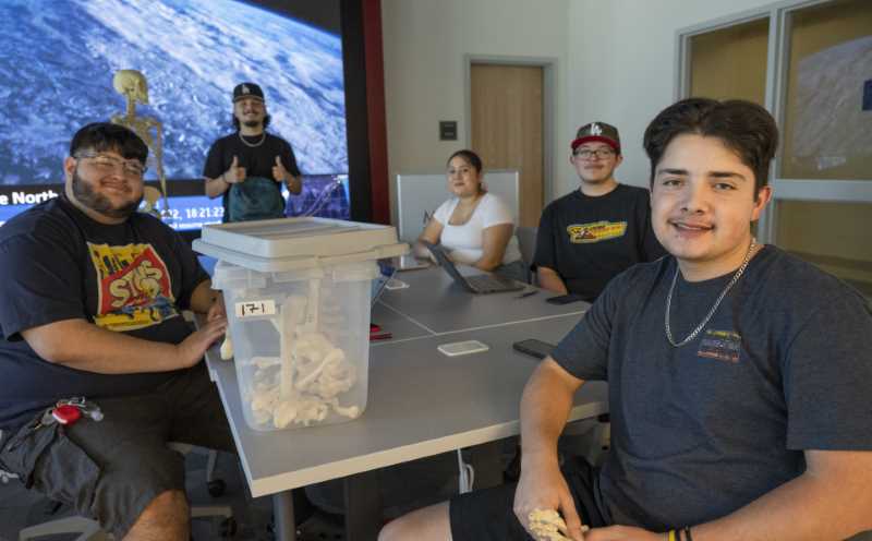 Students study near big screen TV