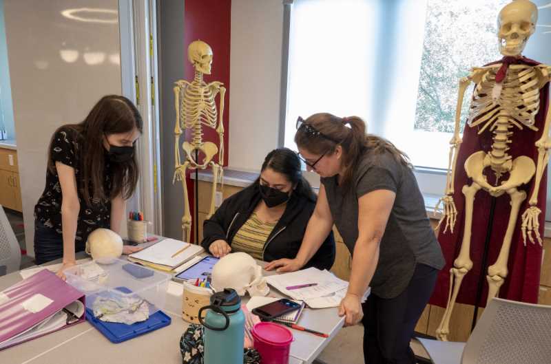 Students study amidst human skeletons