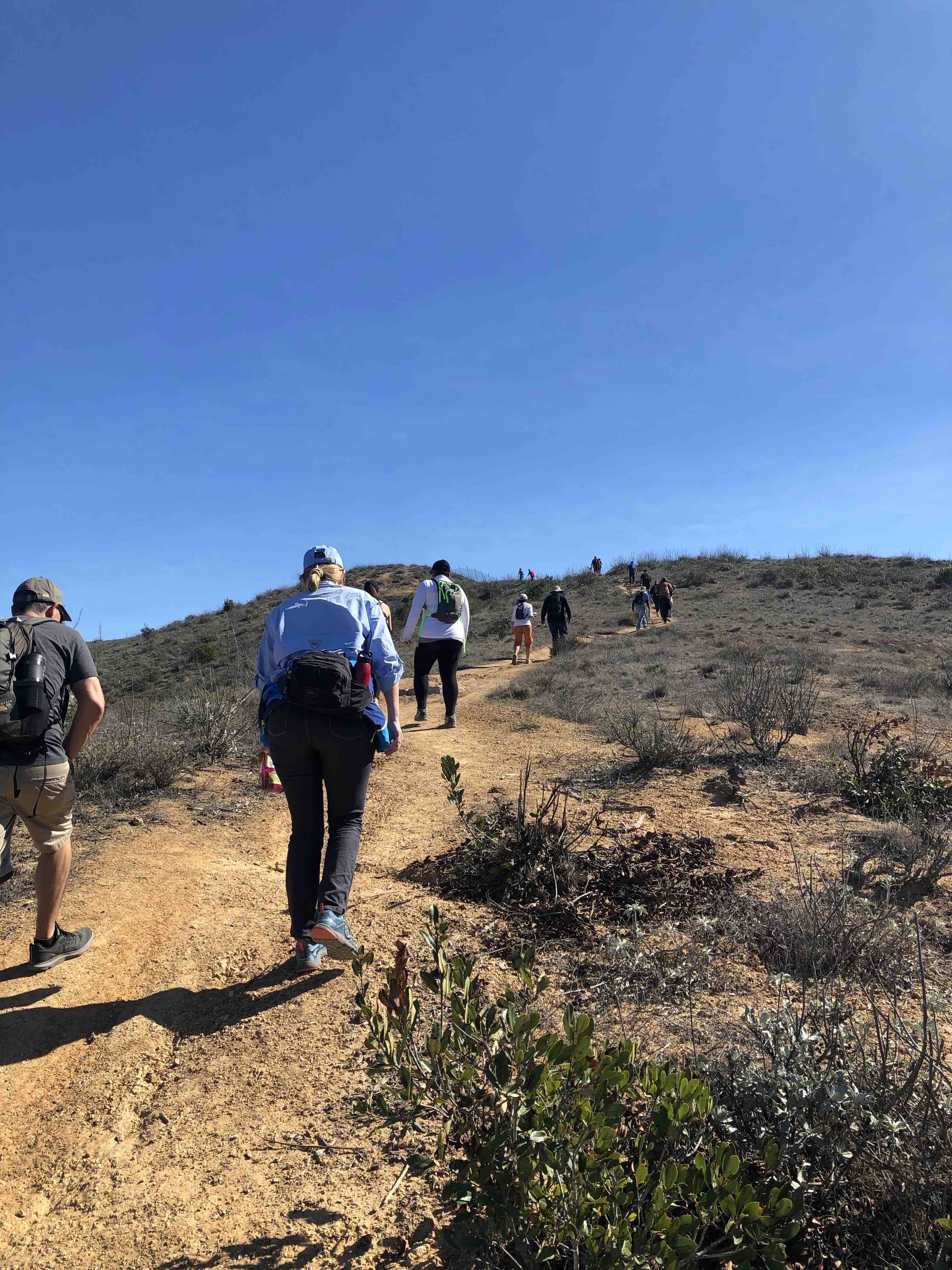 Group of faculty and students hiking up a dusty hillside.