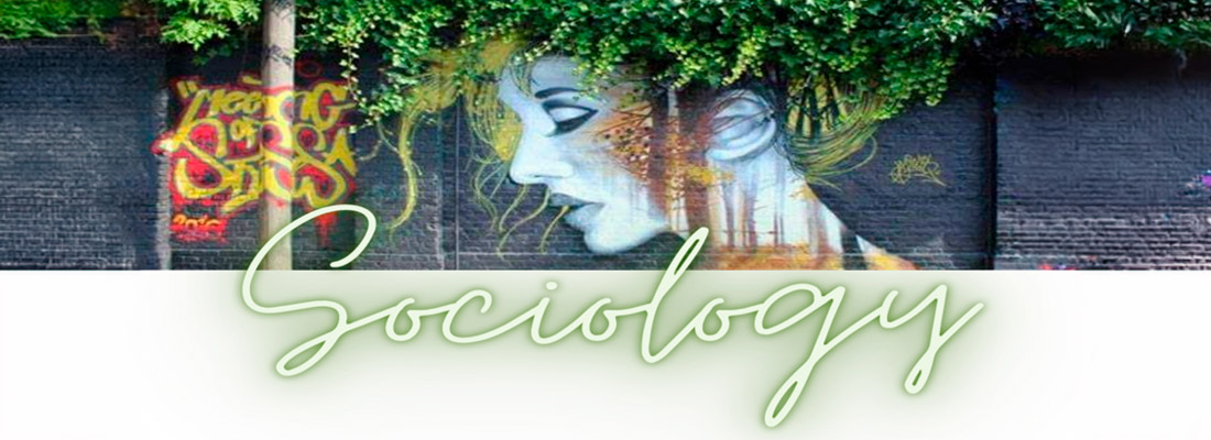 Open Sociology Class on Fall 2024
