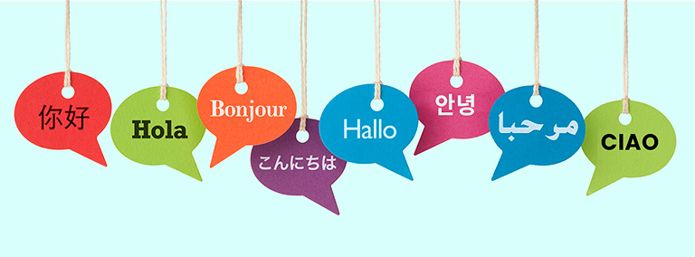 Learn A New Language