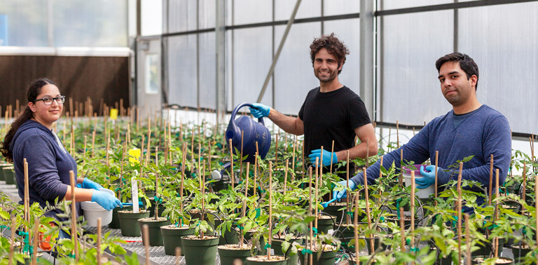 Horticulture Annual Salsa Sale