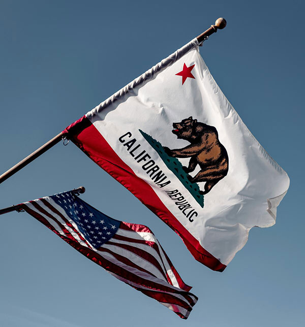 Open Online Political Science Classes this Fall - Enroll Today!