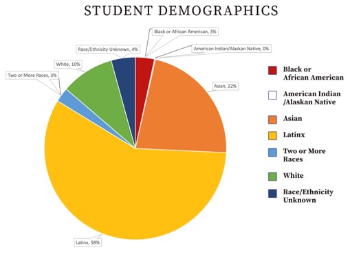 Student Demographics Pie Chart