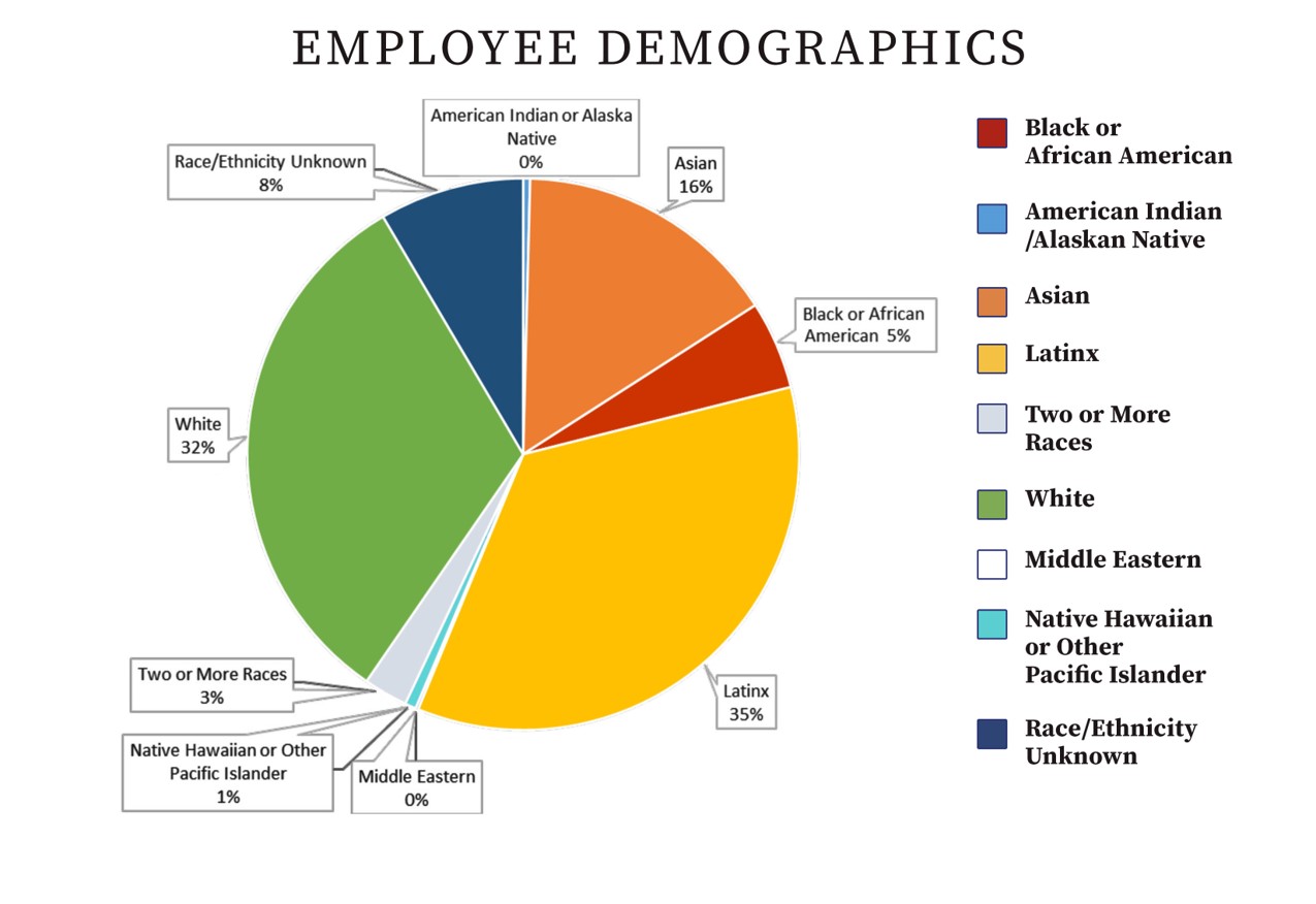 Employee Demographics Pie Chart