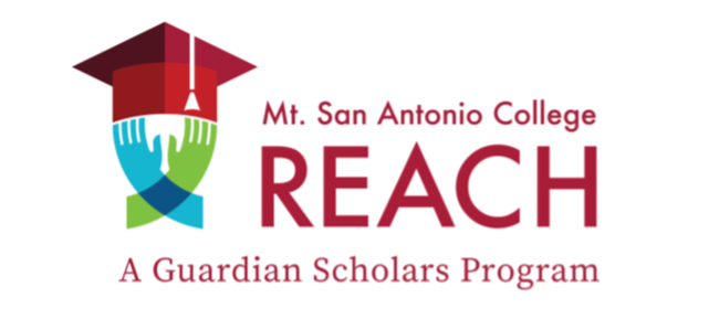 REACH Logo