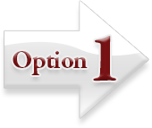 Option 1