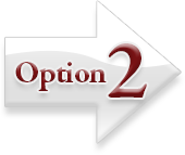 Option 2