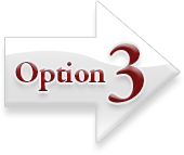 Option 3
