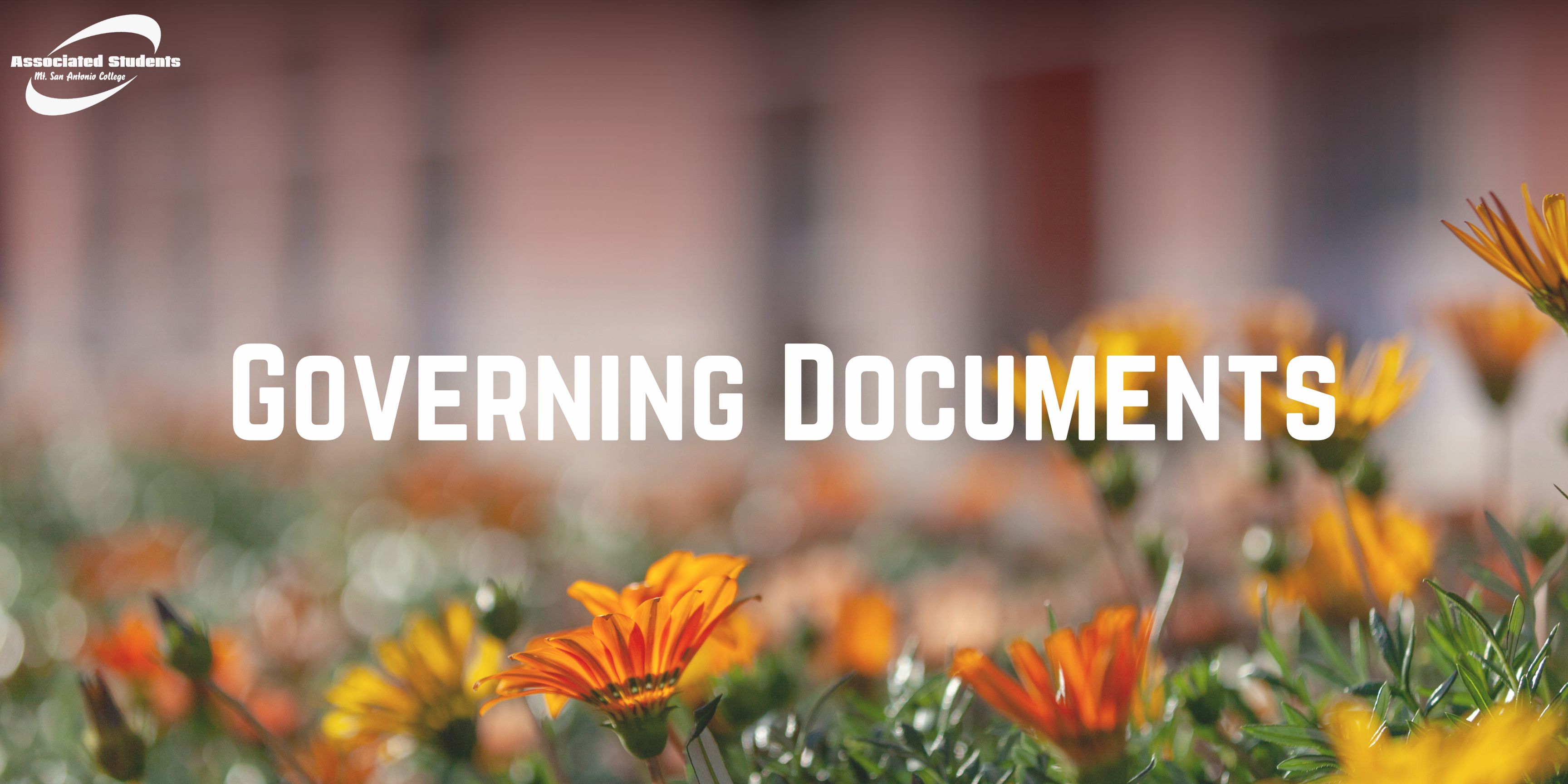 Governing Documents Banner