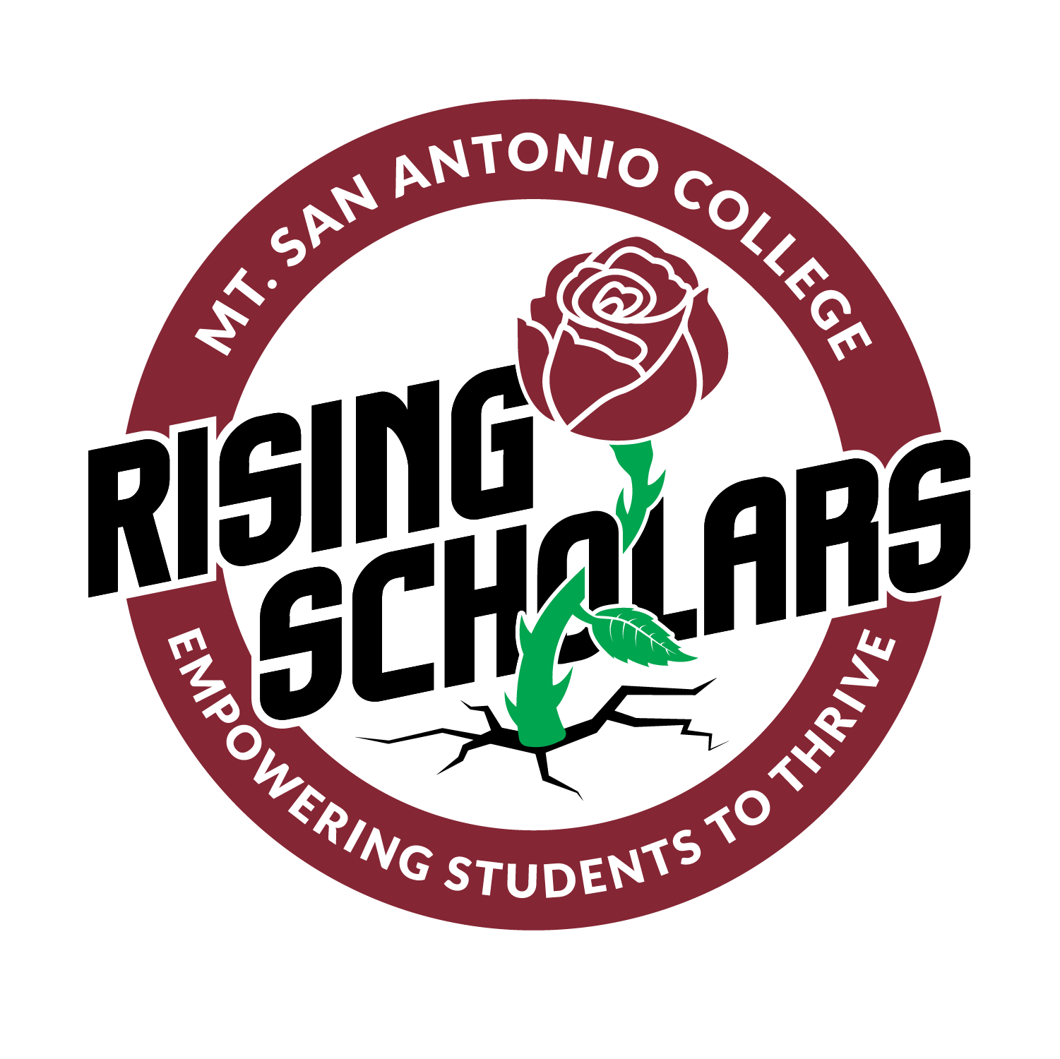 Rising Scholars