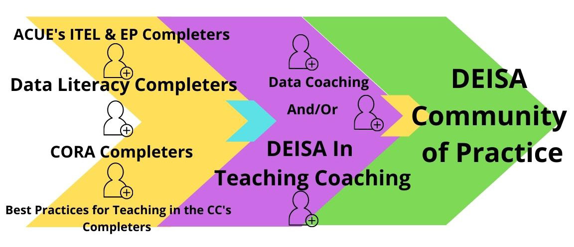 DEISA Faculty Development Pathways include the ACUE Association of Colleges and University Educators, Center for Organizational Responsibility and Advancement CORA, Community colleges,