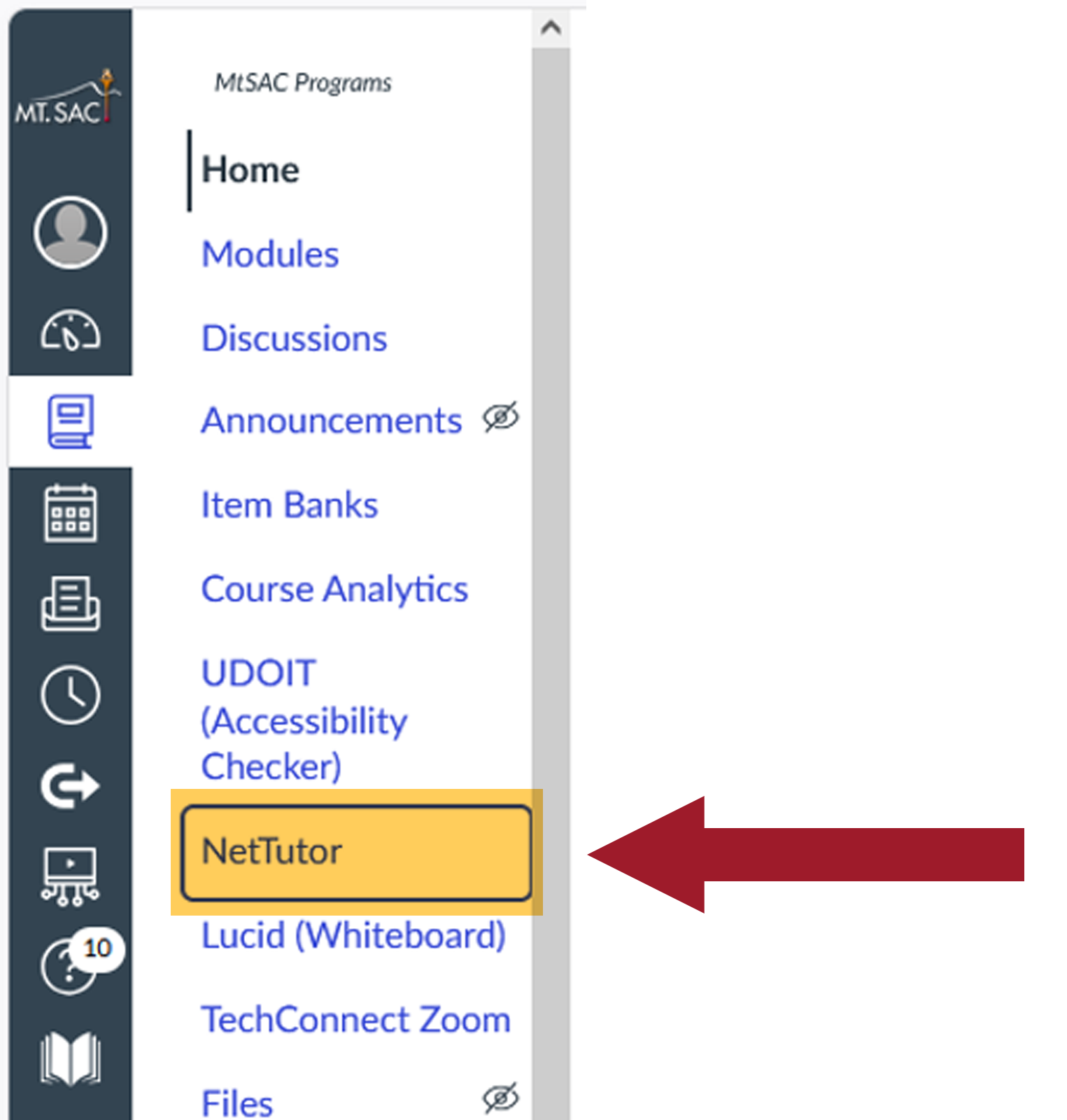 Screenshot of Net Tutor link in Canvas