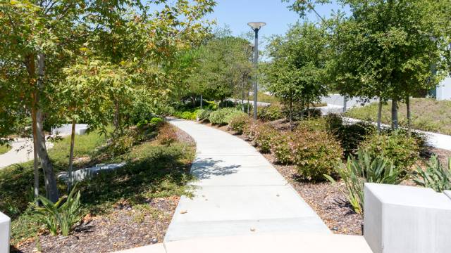 Students walking to class