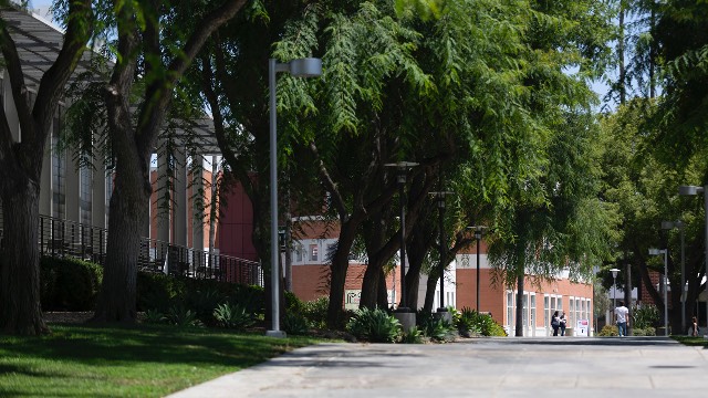 Students walking to class