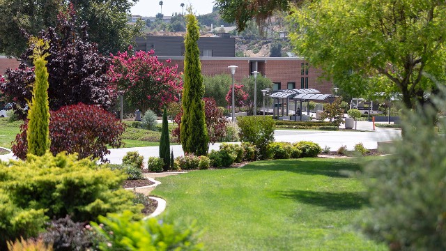 Students walking to class