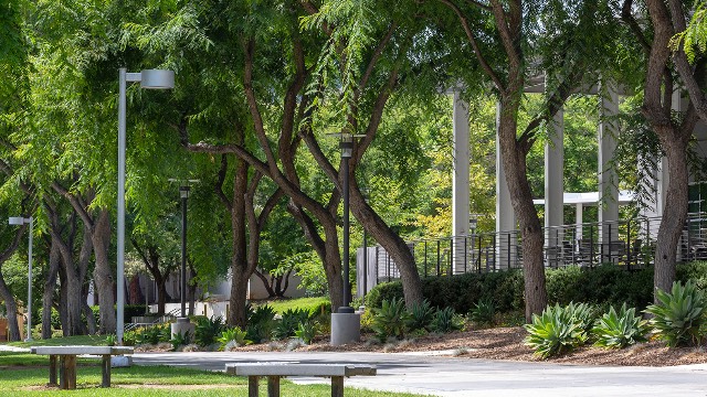 Students walking to class