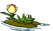 A frog on a lilipad
